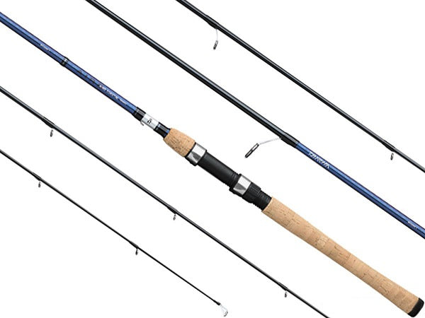 DAIWA SPINNING AIRD COASTAL