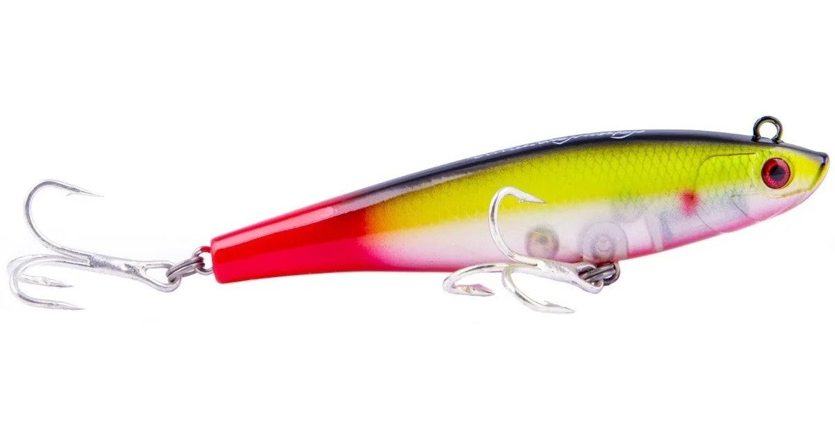 NELSON NAKAMURA CURISCO 110 23G
