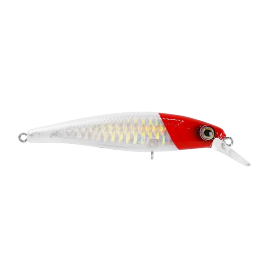 MARINE SPORT SAVAGE 65