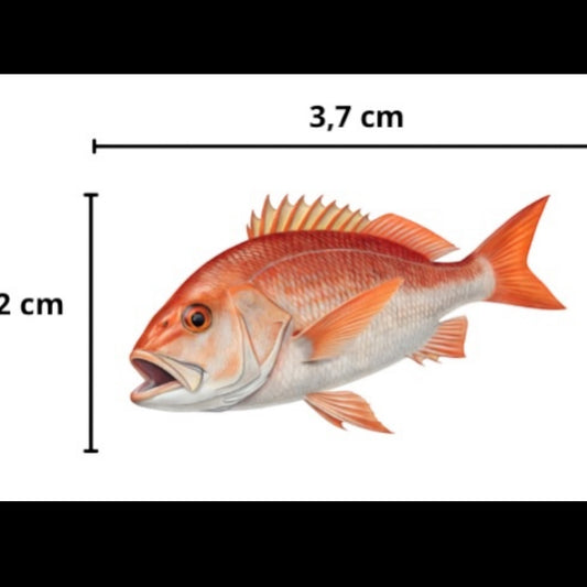 Sticker Pargo Rojo
