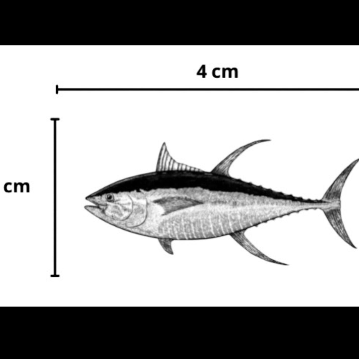 Sticker Black White Tuna