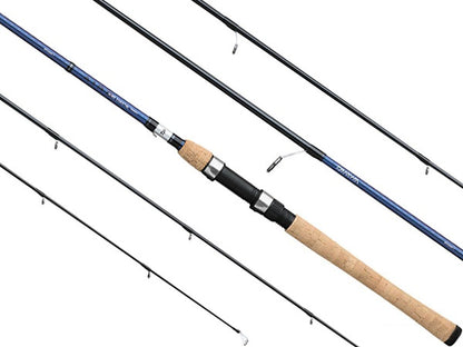 DAIWA SPINNING AIRD COASTAL