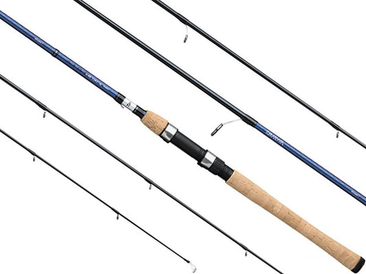 DAIWA SPINNING AIRD COASTAL