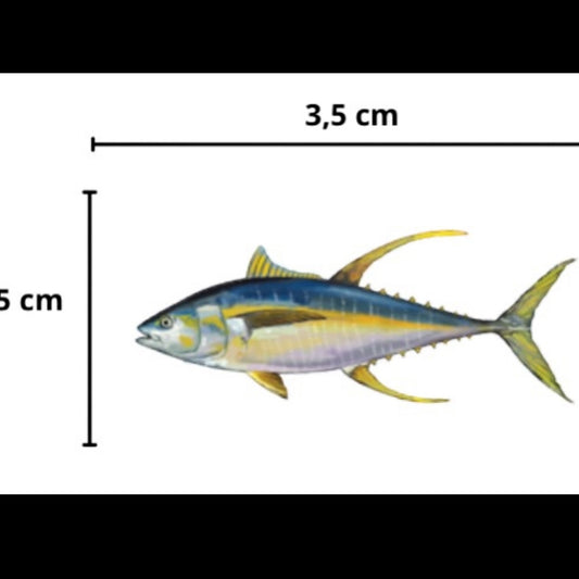 Sticker Yellow Fin Tuna