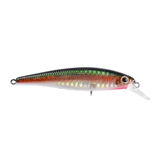 MARINE SPORT SAVAGE 120