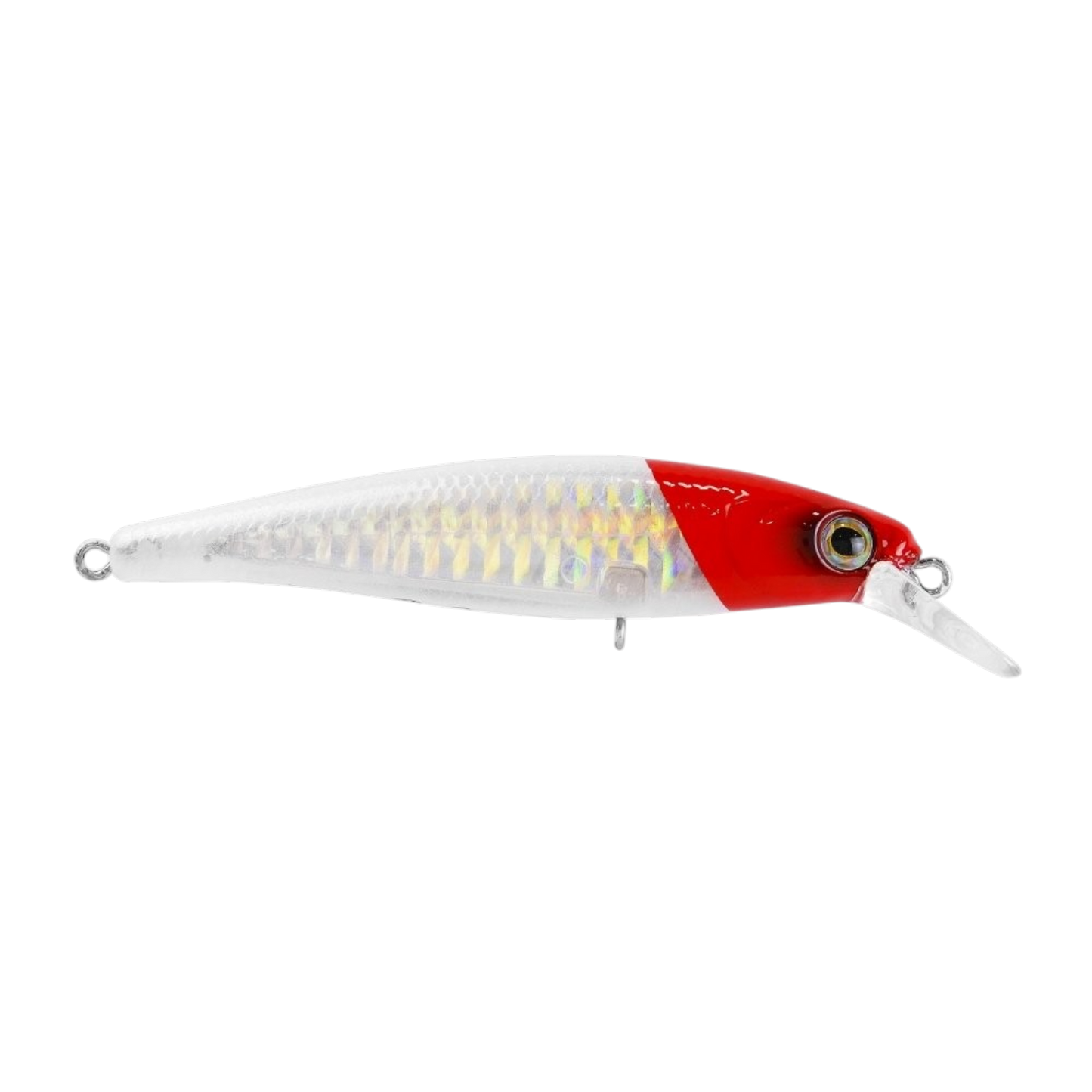MARINE SPORT SAVAGE 65
