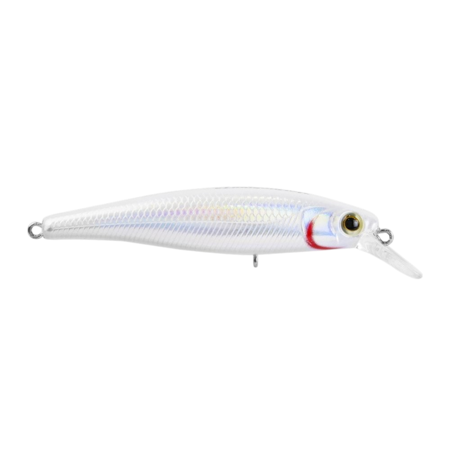 MARINE SPORT SAVAGE 65
