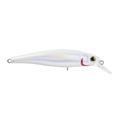 MARINE SPORT SAVAGE 65