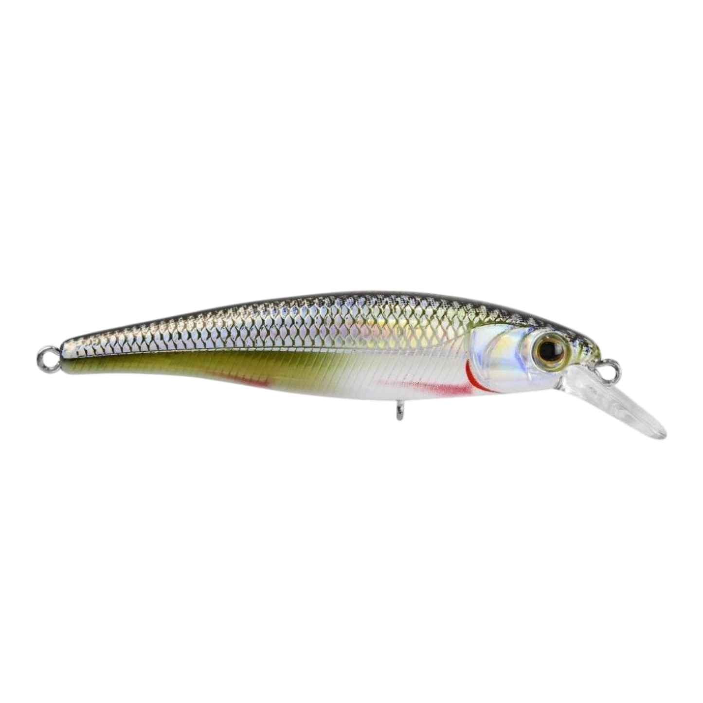 MARINE SPORT SAVAGE 65