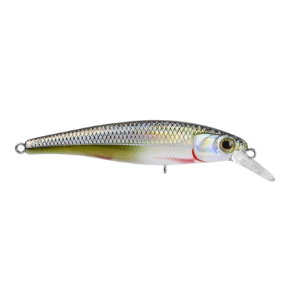 MARINE SPORT SAVAGE 95
