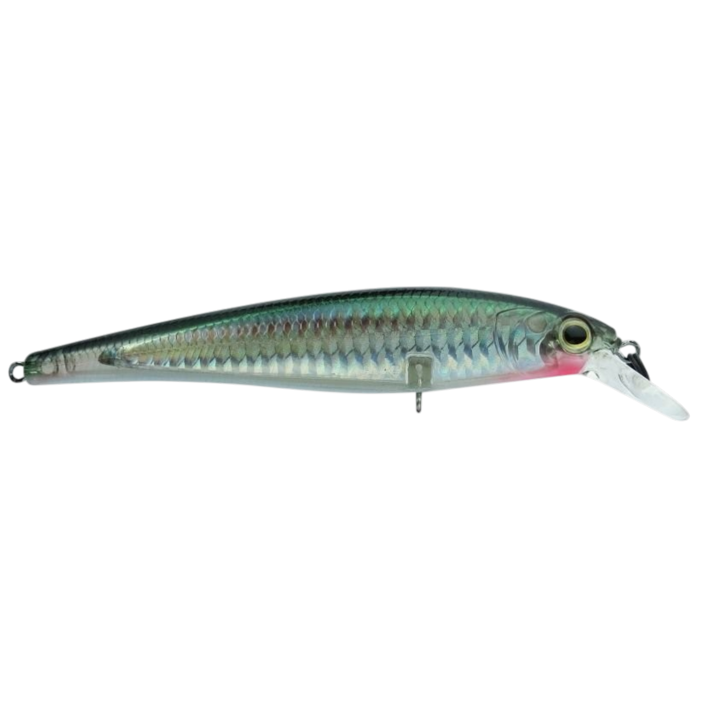 MARINE SPORT SAVAGE 120