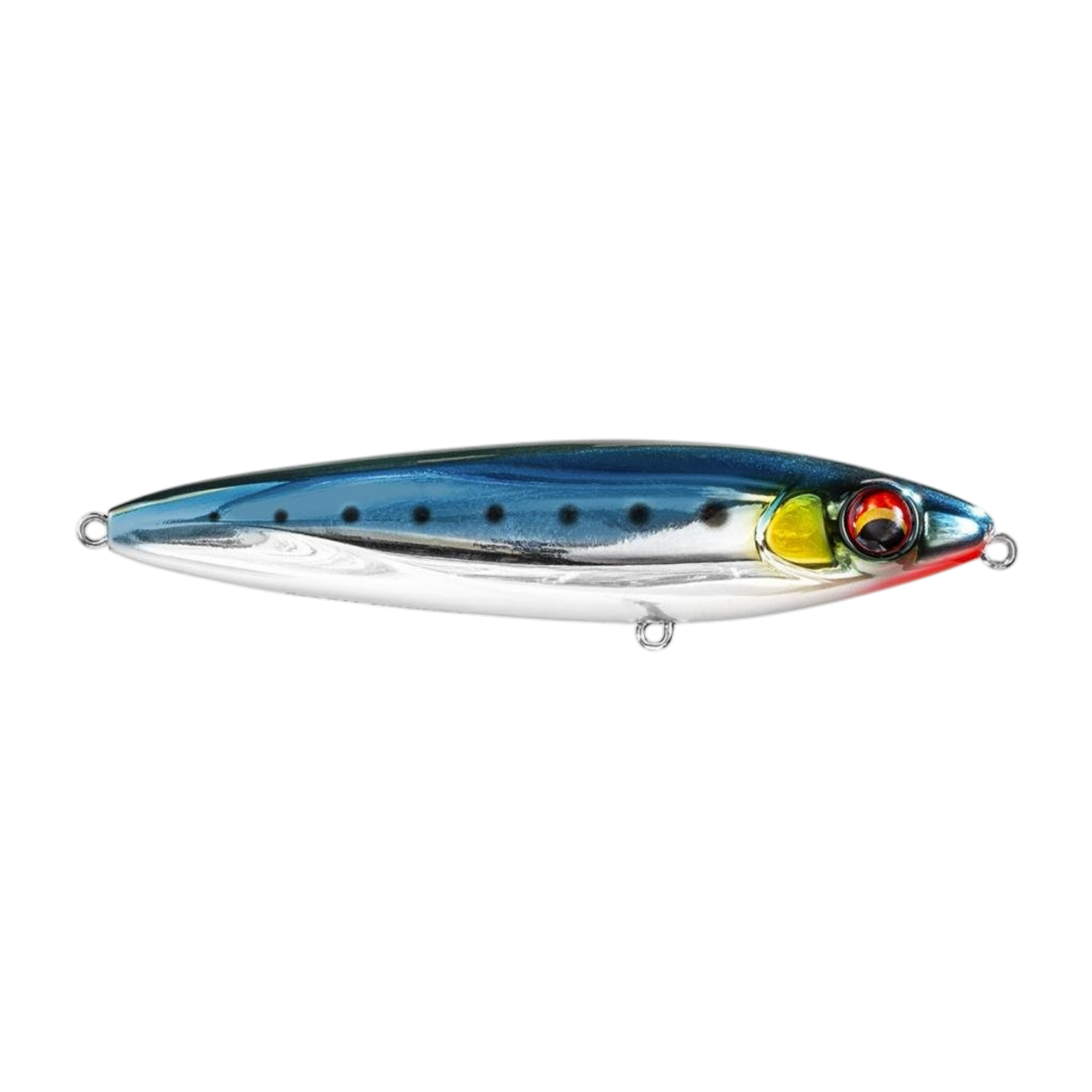 MARINE SPORT VENNON 115
