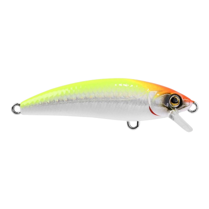 MARINE SPORT INNA 60